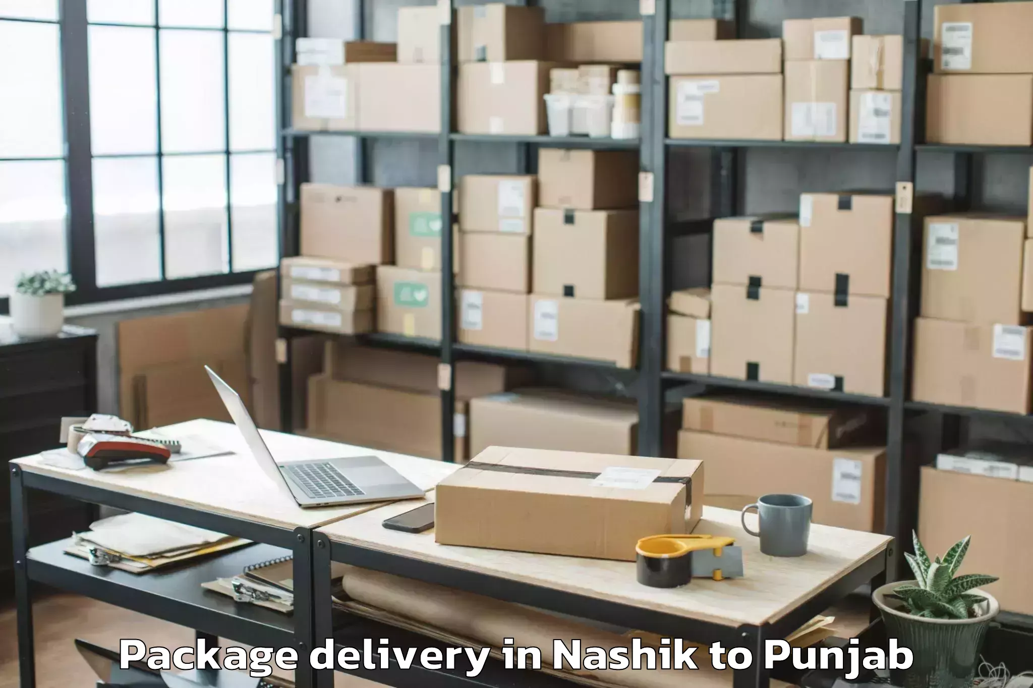 Reliable Nashik to Sanaur Package Delivery